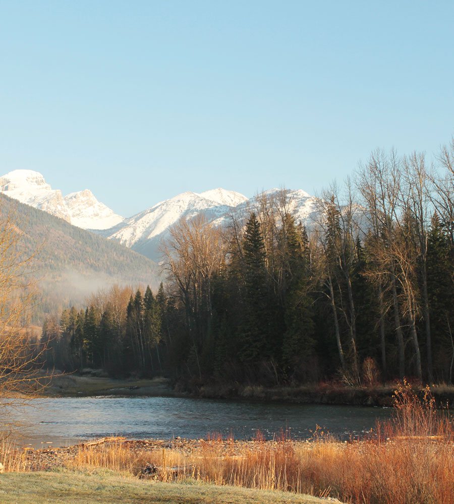 The Elk River in Fernie, BC on a winter day with brown and dried vegetation, barren trees and sturdy pine trees at the river's banks and snowy Rocky Mountains in the distance.