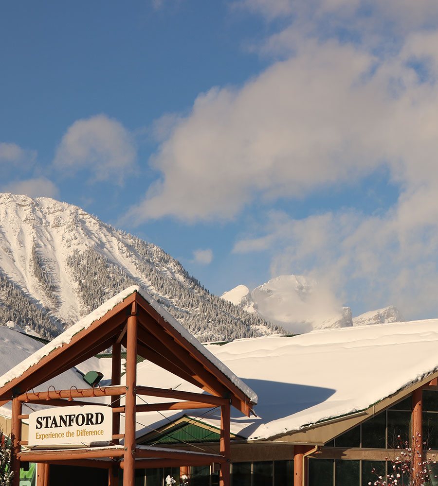 A view of the  gabled snow covered rooftops of the portico and the Stanford Fernie Resort on a sunny day with the trees and the pristine white slopes of the Rocky Mountains.