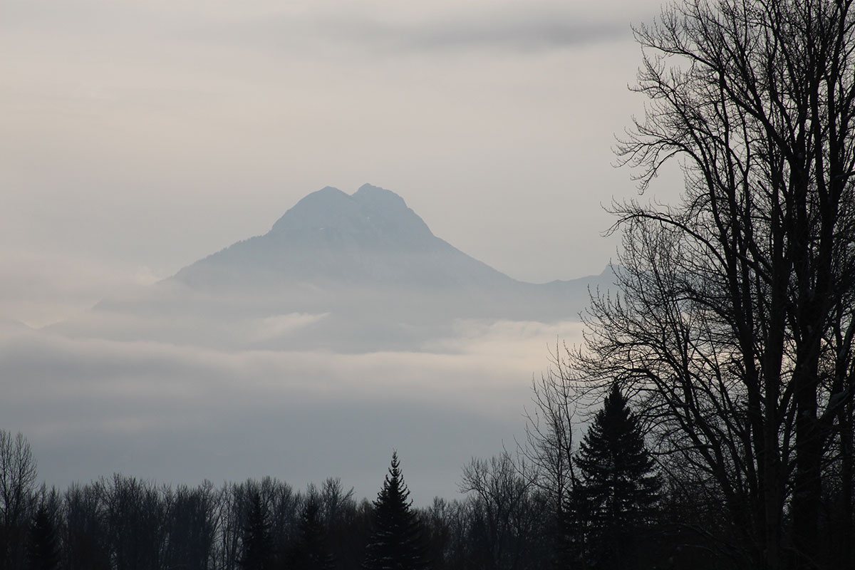 A view of the summit of the Rocky Mountains obscured by a haze of clouds with the black outlines of barren trees in the foreground on an overcast day in Fernie, British Columbia.
