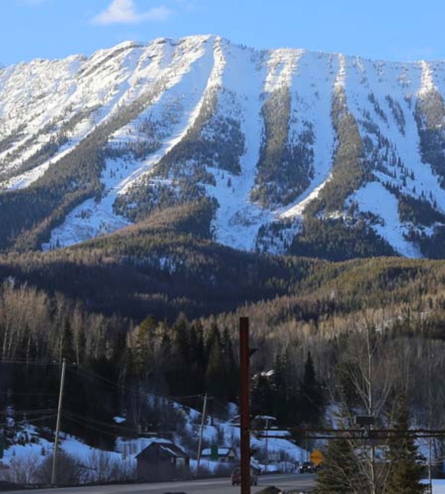 Looking skyward toward the snow covered surface of the Rocky Mountains in Fernie, BC, with a forest of dark green pine and spruce trees nestled at the base.